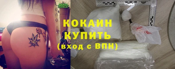 дмт Абаза