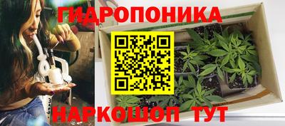 a pvp Северобайкальск