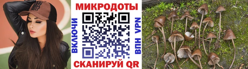 Псилоцибиновые грибы Psilocybe  наркошоп  Киржач 