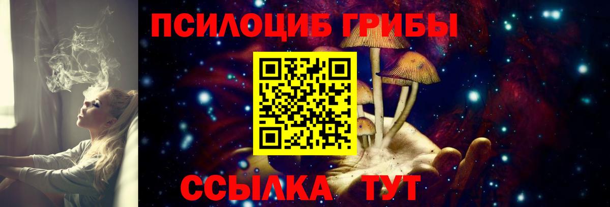 где купить наркоту  Галлюциногенные грибы мицелий  Вход с VPN  Киржач  Псилоцибиновые грибы ЛСД 